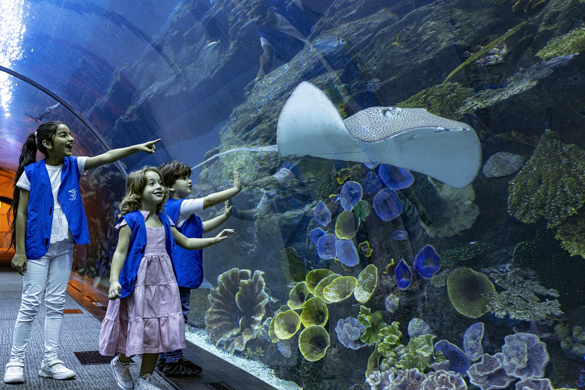 Dubai Aquarium