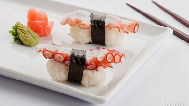 TakoNigiri